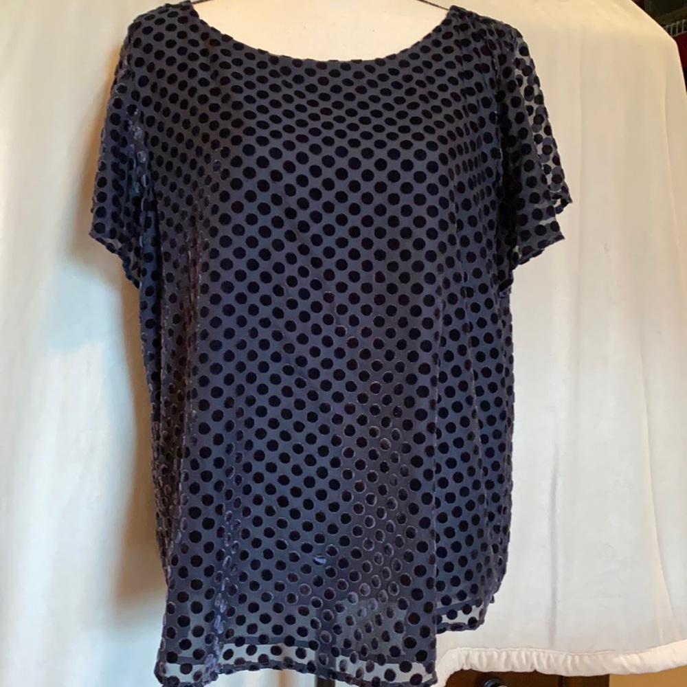 Short sleeve Velvet embellished Top
